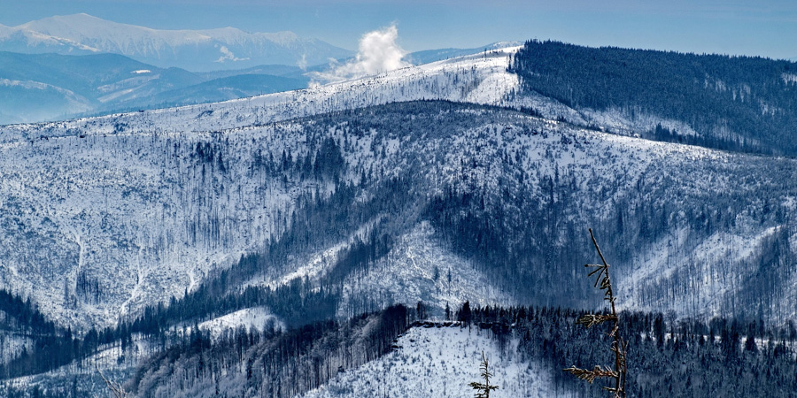 Щирк